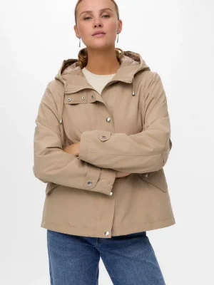 572044982_1364619705675534_6364689511587395824_n