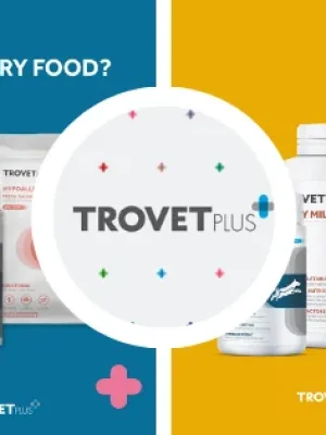 Adicionar-um-subtitulo