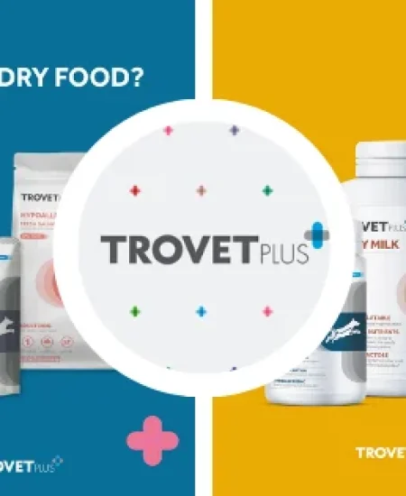 Adicionar-um-subtitulo