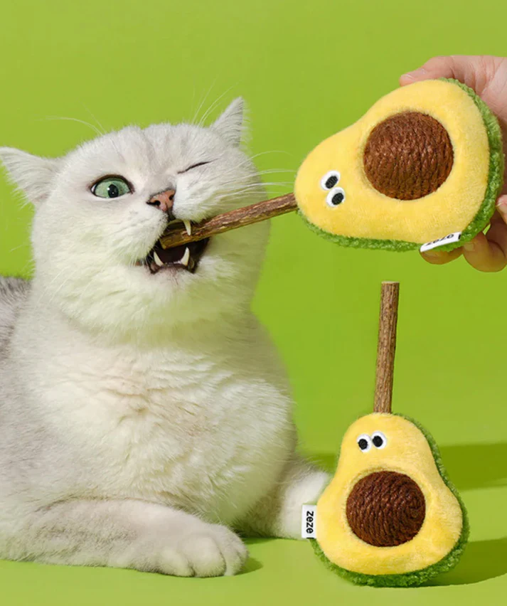 ad5b03e-224427-zeze-avocado-cat-toy-silvervine-stick-and-sisal-ball-combo-pawpawup-18922